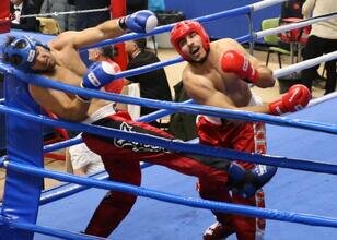Türkiye Kick Boks Şampiyonası, Diyarbakır'da başladı