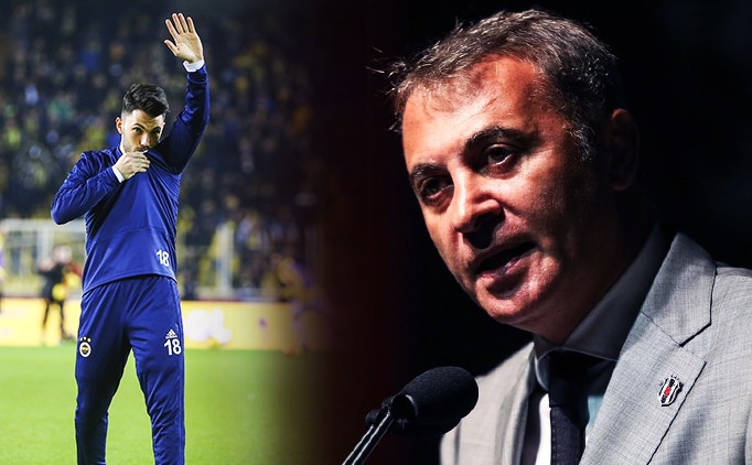 ORMAN'DAN TOLGAY YANITI!