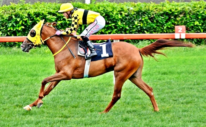 STANBUL'DA 'LAUREATE' GN