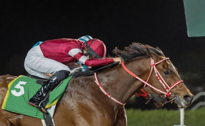 BU YARIŞI KAÇIRMAYIN!..