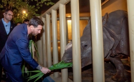 İZLE: Lionel Messi, fillerle top oynadı!