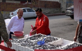 Samsun'un başarısıyla hamsiyi 25TL'ye sattı