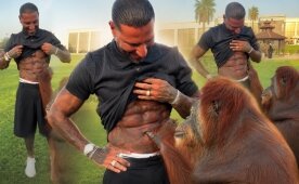 Orangutan, Q7'nin kaslarına hayran kaldı