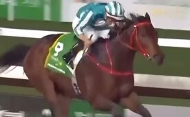 Bu dünyadan değil gibi; Forever Young