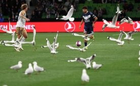 Avustralya'da futbol ma��na mart� istilas�