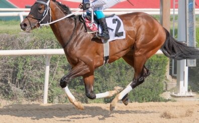 Türkiye'nin en büyüğü oldu, aradan sonra yine kazandı!