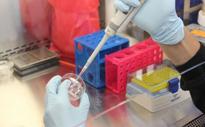 Kovid-19 tan�s�nda en g�venilir sonucu PCR testi veriyor