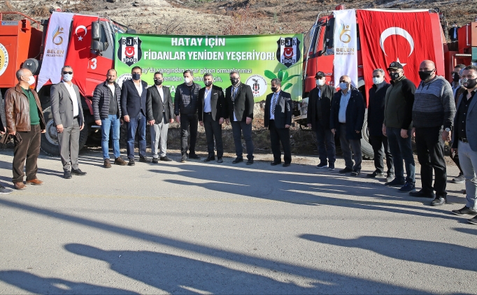 Beikta, Hatay'da yanan ormanlara fidan dikti