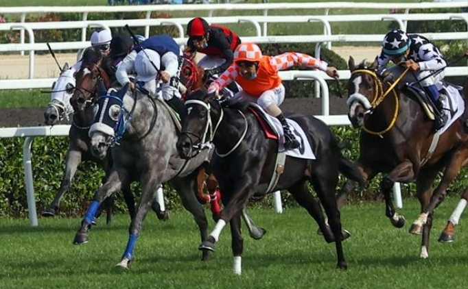 ��te Gazi Ko�usu'nda yar��acak atlar