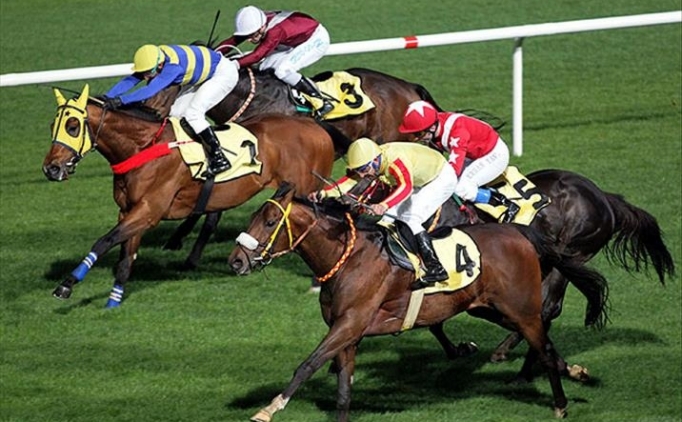 Atlar, 8 Mart D�nya Kad�nlar G�n� i�in ko�acak