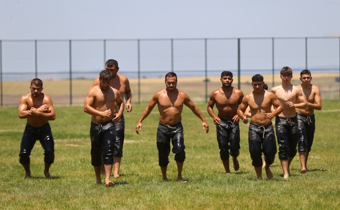 Ya�l� g�re�te seyir zevki artabilir