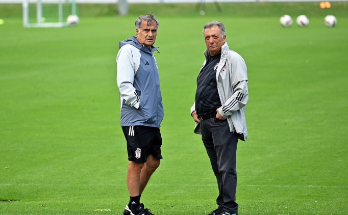 Be�ikta�'ta k�stebek av�