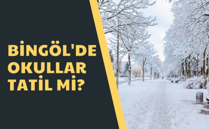Bingl okullar tatil mi? 6 ubat Pazartesi yarn Bingl'de okullar tatil mi? Bingl valiliinden aklama var m?