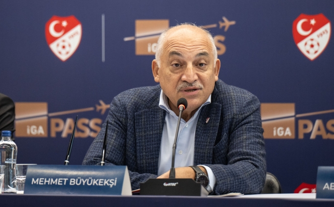 Ahmet Nur Çebi: 'Ben kalsam Büyükekşi'yi stada almam'