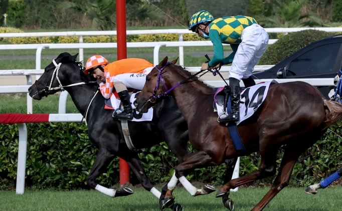 97. Gazi Ko�usu'na kay�t yapt�ran safkanlar belli oldu