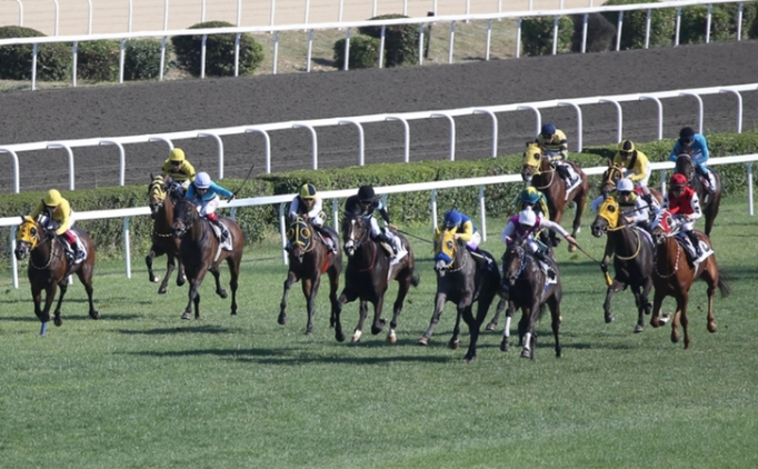 97. Gazi Ko�usu ba�l�yor