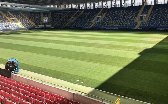 tff-1693304966.jpg