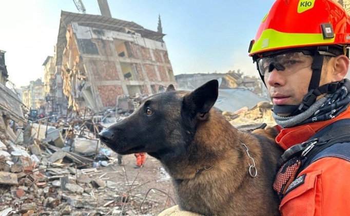 3 arama kurtarma k�pe�i ayaklar�ndaki bandajlarla �al���yor!