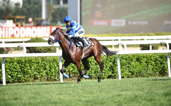 97. Gazi Ko�usu'nu Urfa Aslan� kazand�!