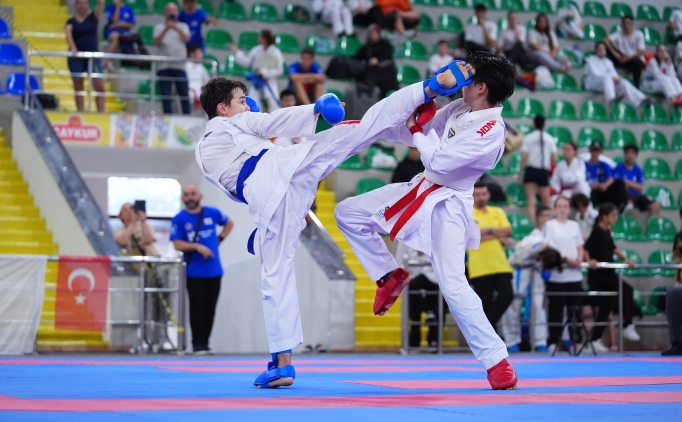Karadeniz ve Hazar lkeleri Karate ampiyonas, sona erdi