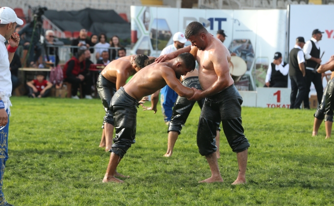 Tokat'ta 1. Ali Y�cel Ya�l� Pehlivan G�re�leri yap�ld�