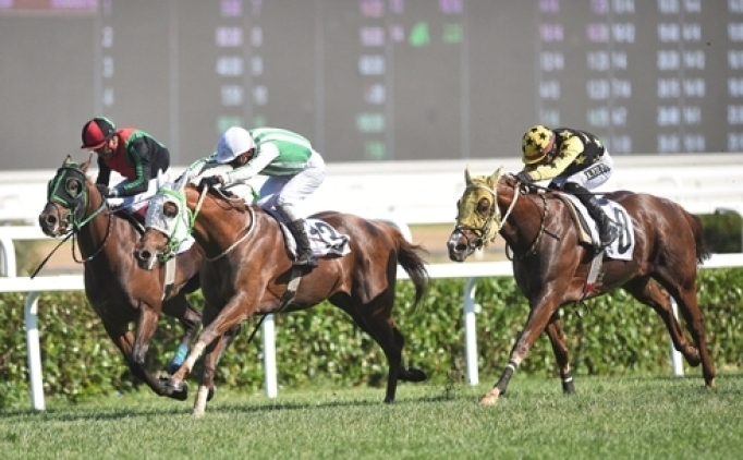 Gazi Ko�usu Avrupa'n�n en y�ksek ikramiyeli Derbisi oldu!