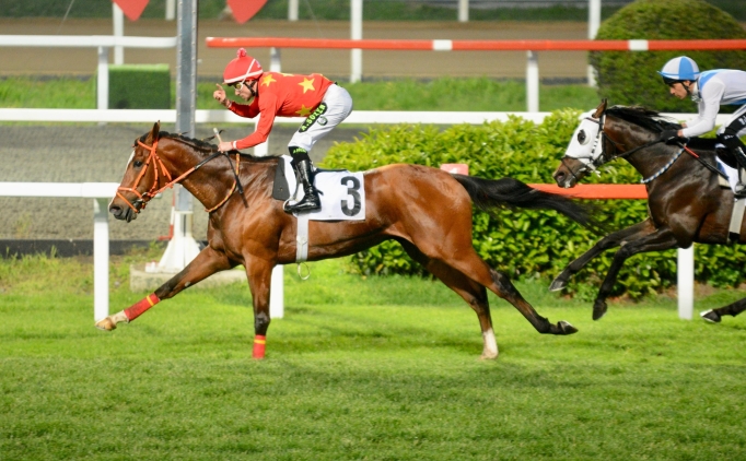 En b�y�k kupa sahibini buluyor!