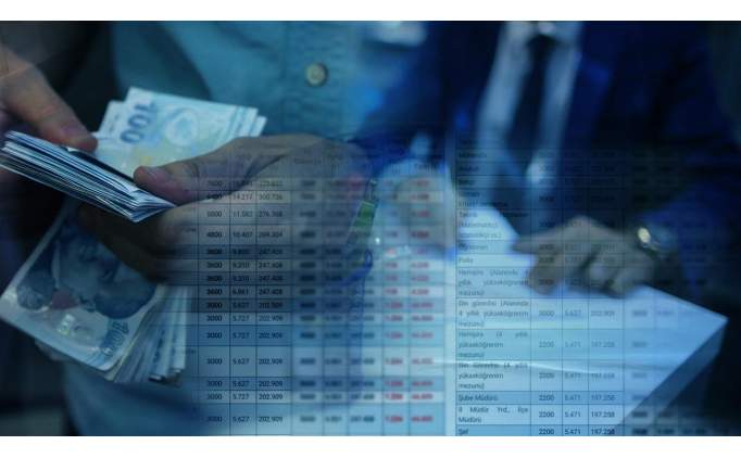 Vatandalk Maa Nedir, Nasl Alnr, Bavuru artlar Nedir?