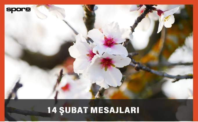 En Komik 14 Şubat Sevgililer Günü mesajları - 2025