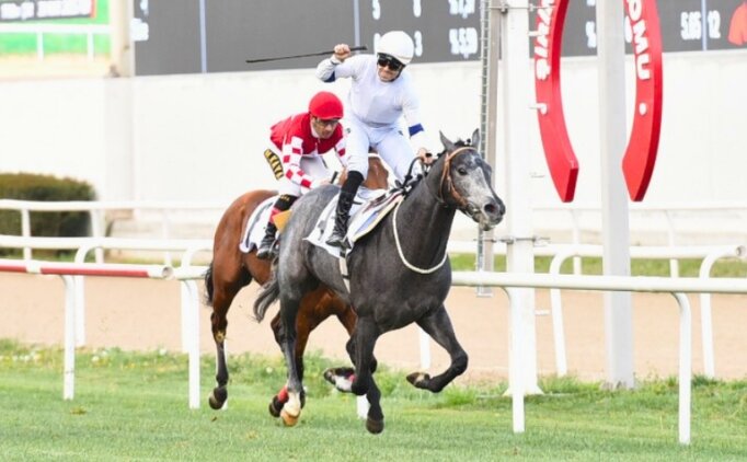 Y�l�n ilk G1 ko�usu Ege Derbisi'ne Hipodrom.com deste�i