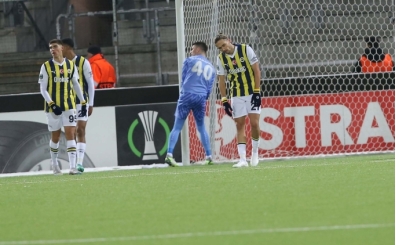 Fenerbahe'ye Danimarka'da souk du