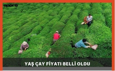 2025 Yaş Çay alım fiyatı açıklandı mı, resmi açıklama geldi mi?