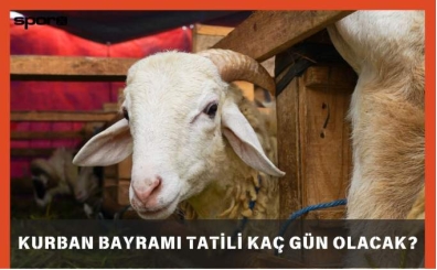 Kurban Bayramı tatili kaç gün olacak? 2025 | Kurban Bayramı tatili 9 gün olacak mı, olur mu?