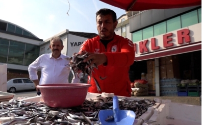 Samsunspor'un Avrupa'daki baarsn hamsiyi ucuza satarak kutlad!