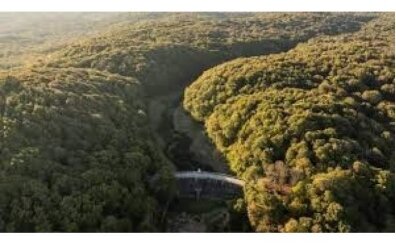 Belgrad orman� mangal yasak m�?