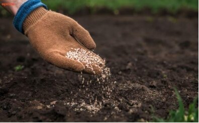 Mazot g�bre deste�i ne zaman yatacak 2026? Nisan ay� mazot ve g�bre deste�i yatt� m�?