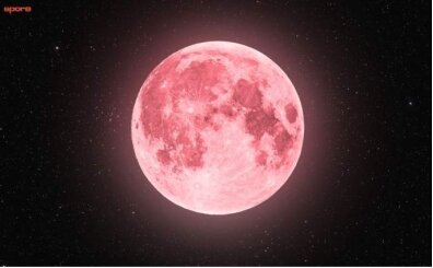 Pembe Dolunay ne zaman 2026? Nisan ay� 'Pembe Ay' bu gece saat ka�ta g�r�lecek?