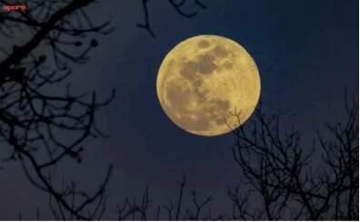 Terazi Dolunay� ne zaman, saat ka�ta 2026? 