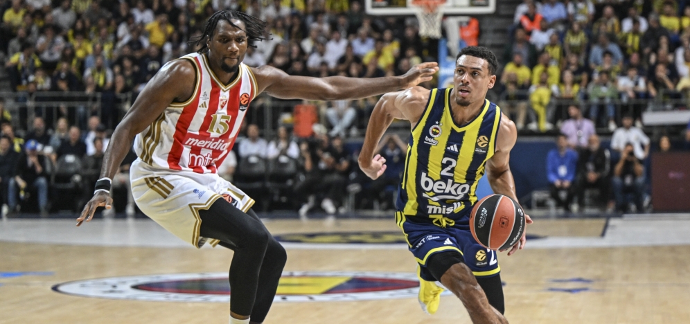 FENERBAHE GER DNEMED