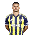L. Mercan