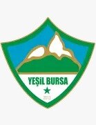 Ye�il Bursa Logosu