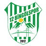 12 Bingolspor