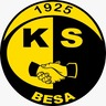 FK Besa
