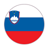 EURO 2024 Slovenya Takm Sayfas Logo